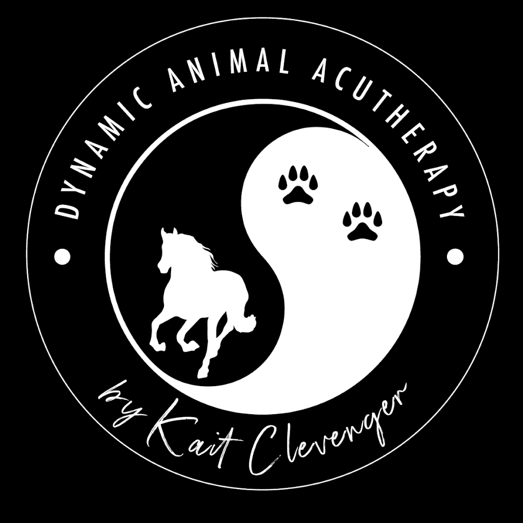 Dynamic Animal Acutherapy | 19-23 Cedar Grove Rd, Cedar Grove QLD 4285, Australia | Phone: 0432 677 112