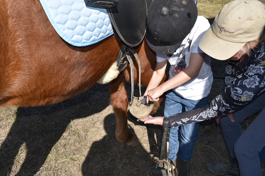 Scenic Rim Horse Riding |  | 613 Kulgun Rd, Kalbar QLD 4309, Australia | 0408880724 OR +61 408 880 724