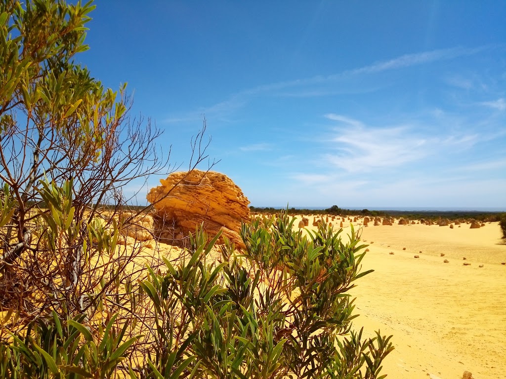 Cervantes Visitor Centre | Cervantes Po, 14-16 Cadiz St, Cervantes WA 6511, Australia | Phone: (08) 9652 7700