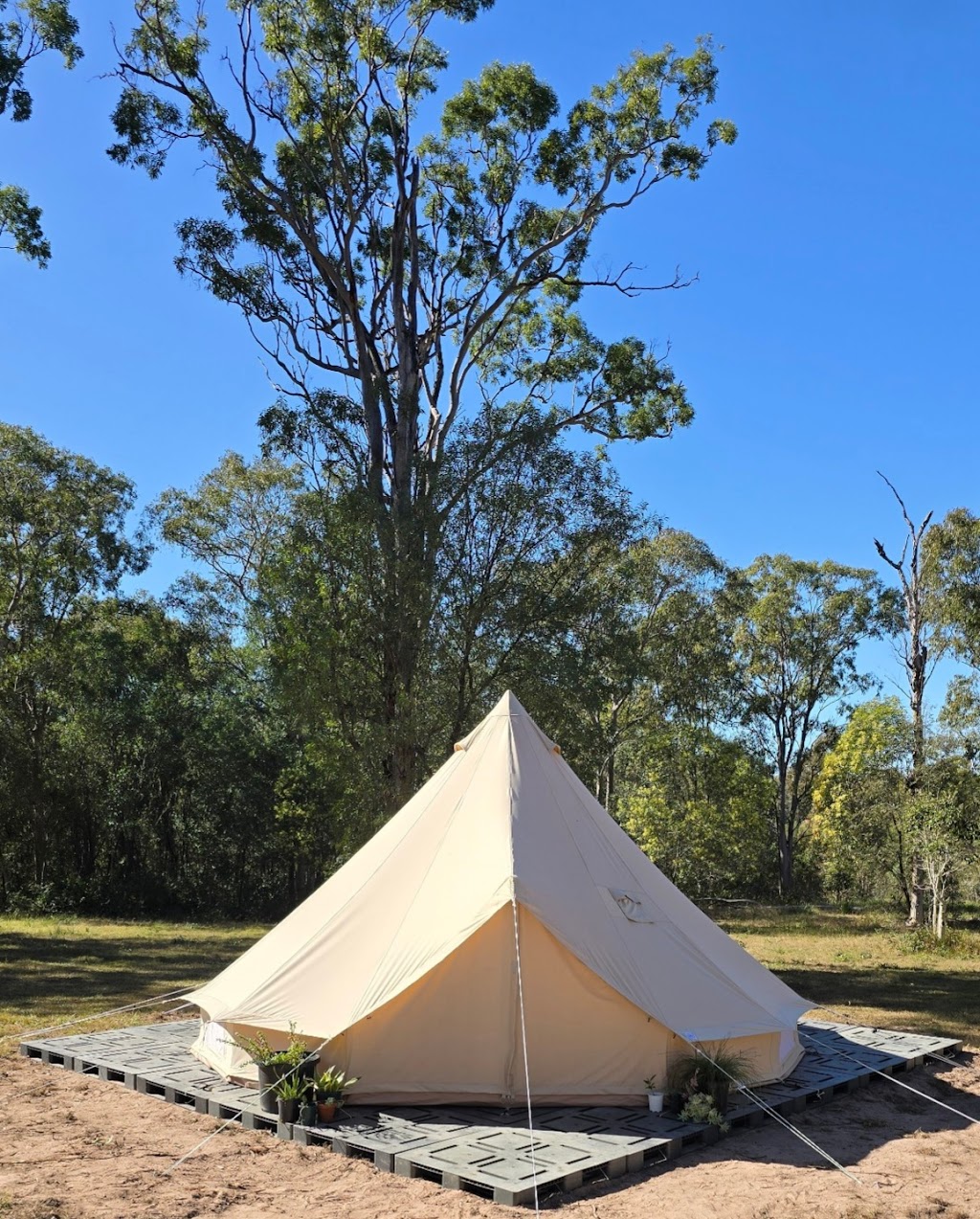 Denno Remedial Massage | 132 Hawkins Rd, Stockleigh QLD 4280, Australia | Phone: 0477 778 445