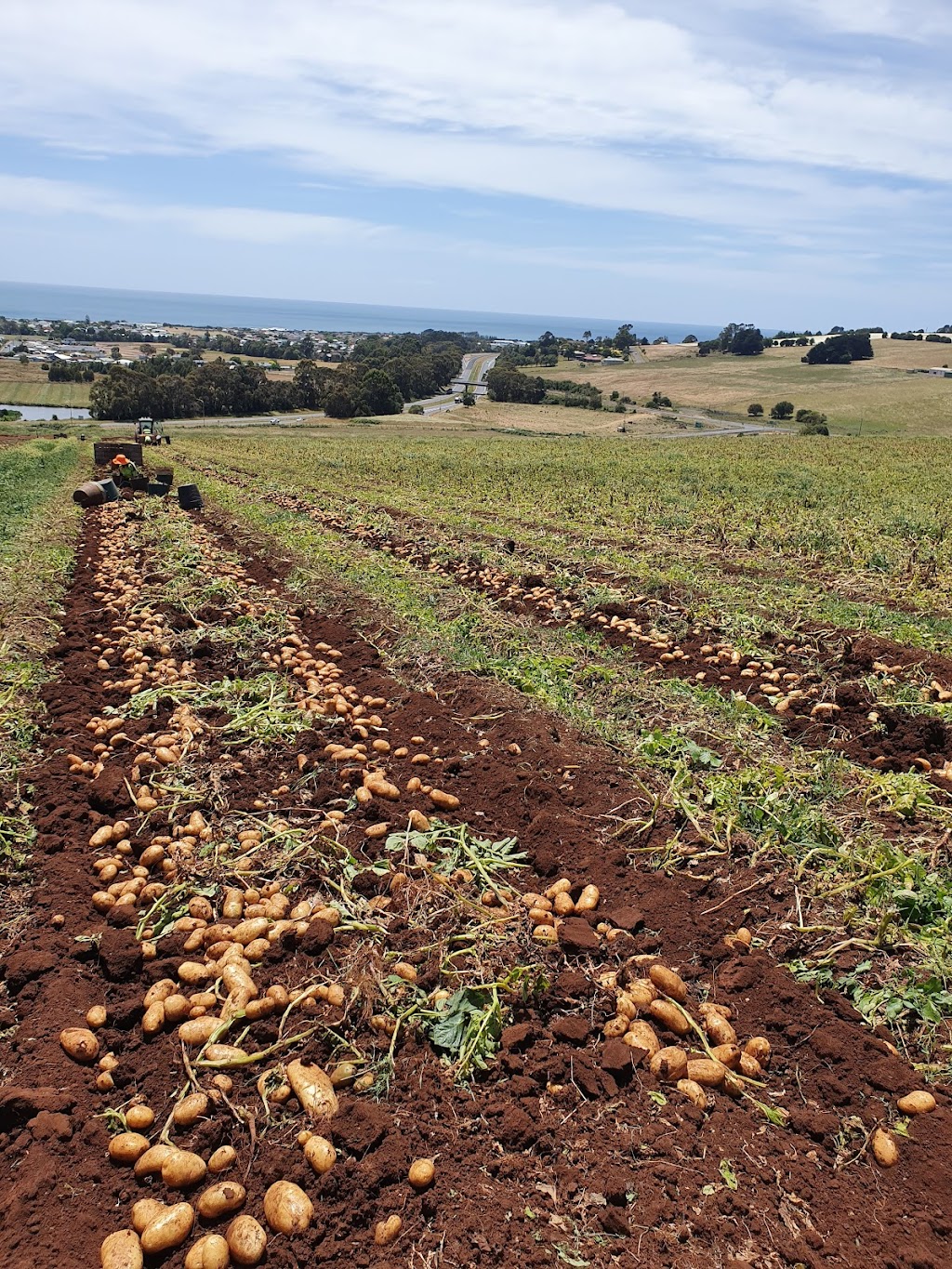 Yum Tasmanian | storage | Tascot Templeton, 23-61 Tarleton St, East Devonport TAS 7310, Australia | 0363736270 OR +61 3 6373 6270