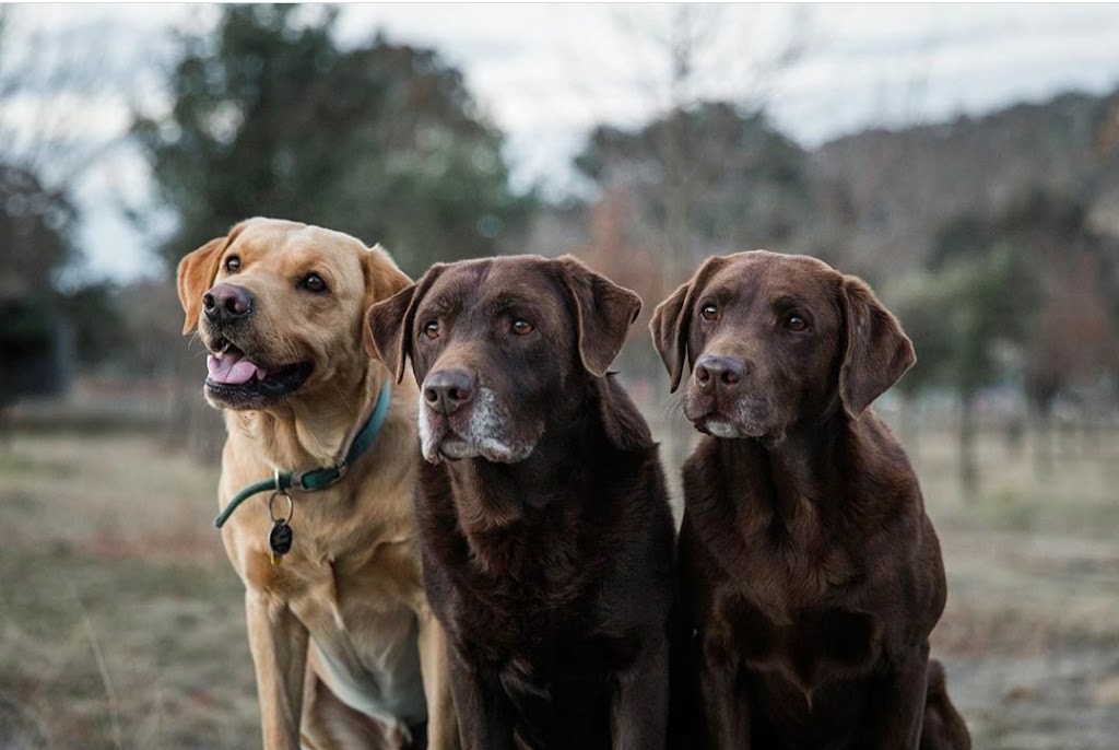 The Truffle Farm | 23 Mount Majura Rd, Australian Capital Territory 2609, Australia | Phone: 0400 483 082