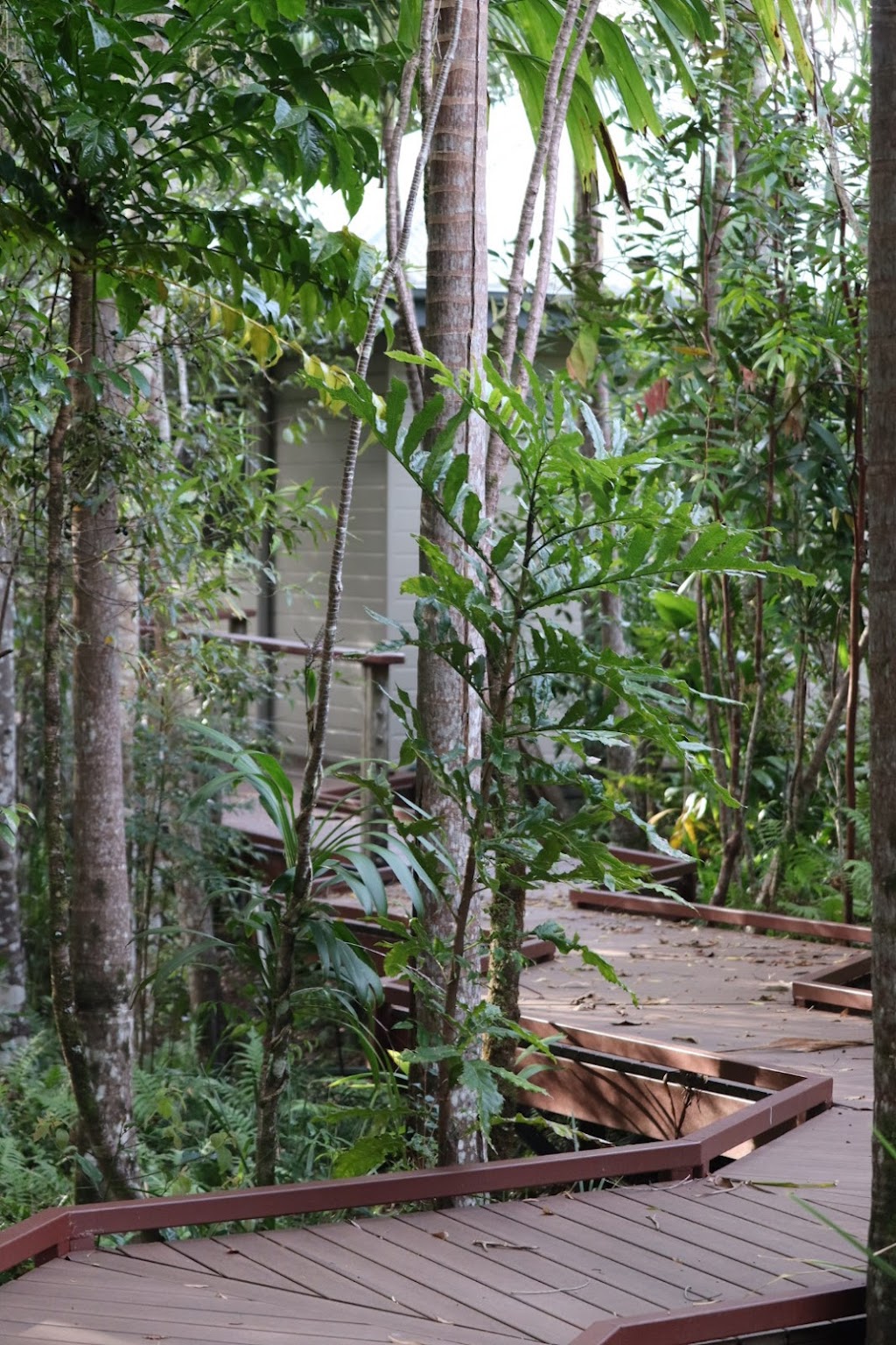 Alive Building Co. | 4 Kay St, South Murwillumbah NSW 2484, Australia | Phone: 0410 919 334