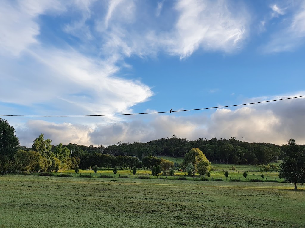 Southwick Equine Counselling | 1882 Peats Ridge Rd, Calga NSW 2250, Australia | Phone: 0473 527 914