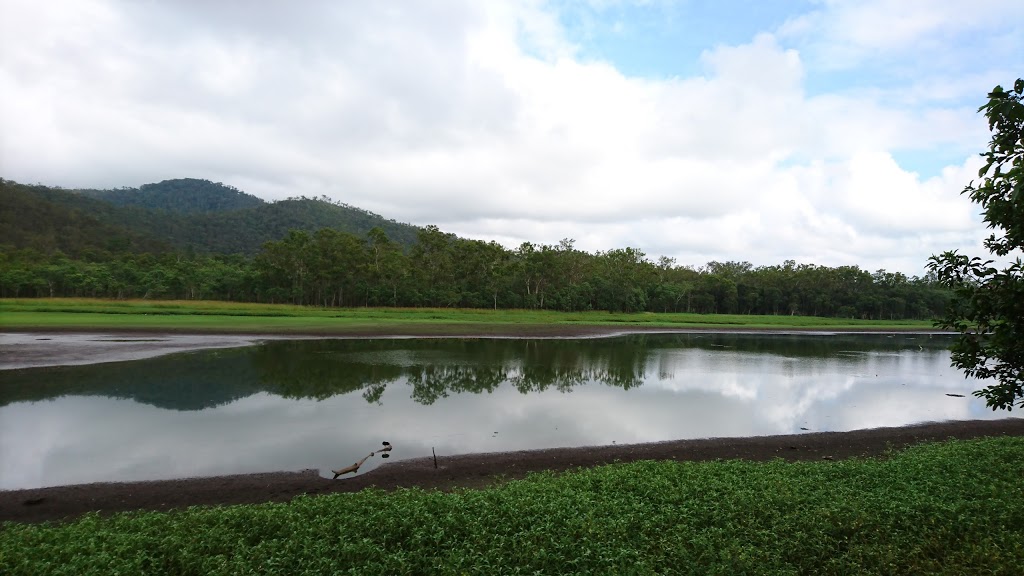 Hasties Swamp Bird Hide | 121 Koci Rd, Carrington QLD 4883, Australia | Phone: (07) 4091 4222