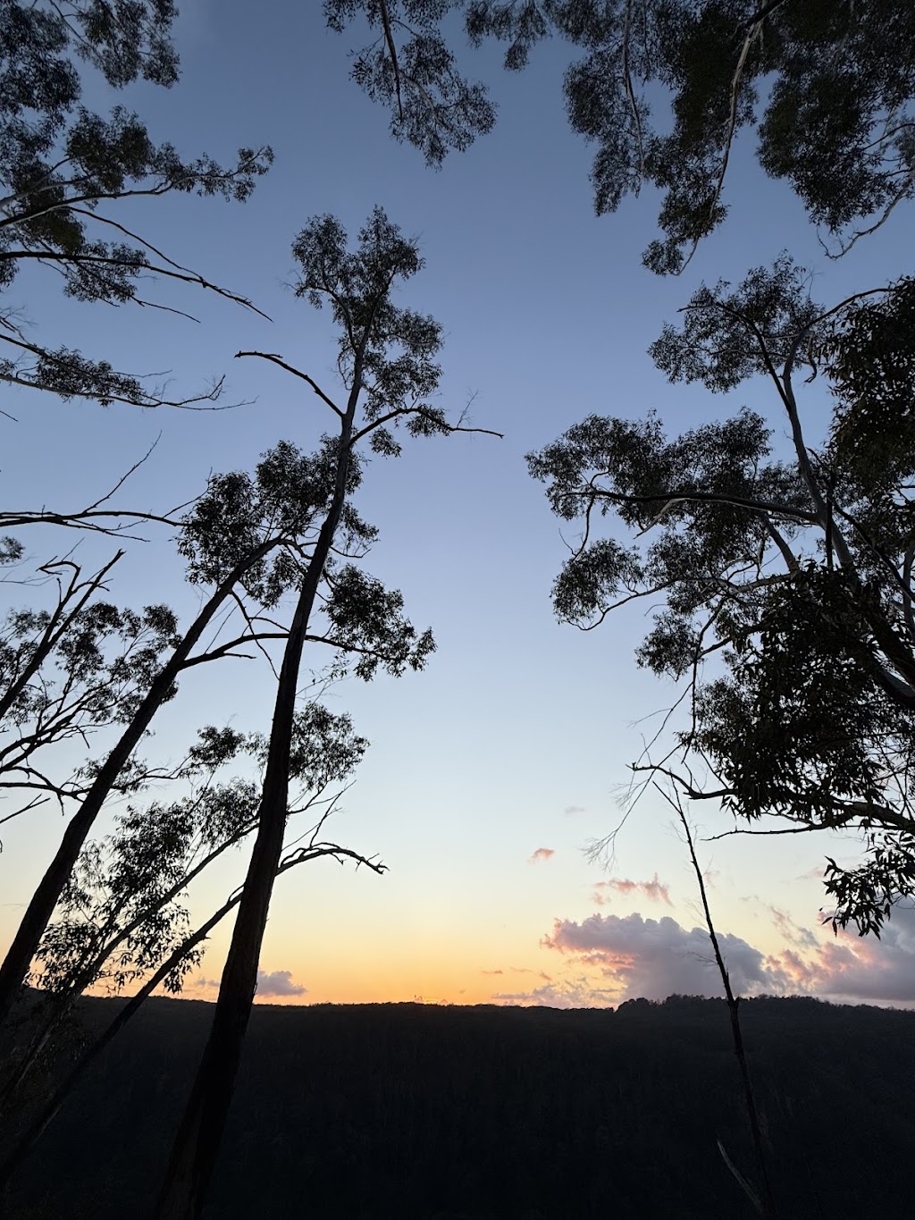 Gidjuum Gulganyi Walk | Unicorn Falls Walking Trak, Upper Main Arm NSW 2482, Australia | Phone: 1300 072 757