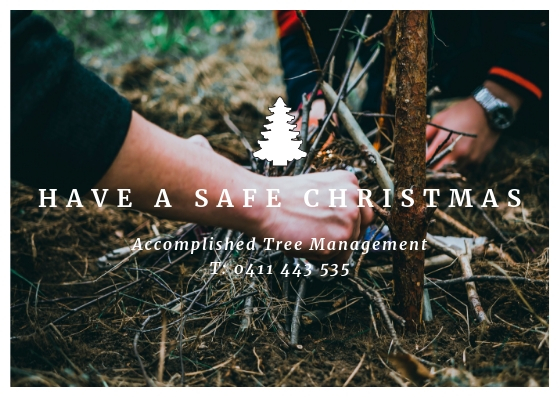 Accomplished Tree Management | 7 Koel Cres, Port Macquarie NSW 2444, Australia | Phone: 0411 443 535