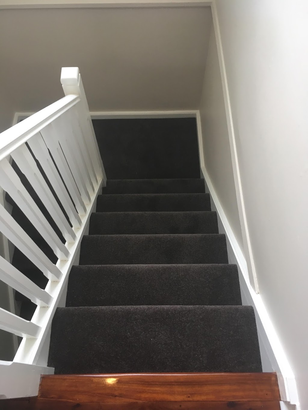 Carpet Removal Sydney | moving company | 6 Francis St, Dee Why NSW 2099, Australia | 0424408330 OR +61 424 408 330