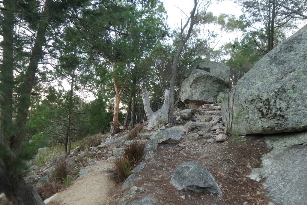 Whalers Lookout Scenic reserve | Esplanade, Bicheno TAS 7215, Australia