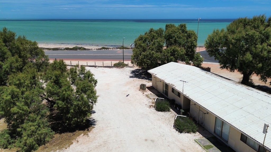 Wildsights Beach Shack | 2 Denham Rd, Denham WA 6537, Australia | Phone: (08) 9948 1481