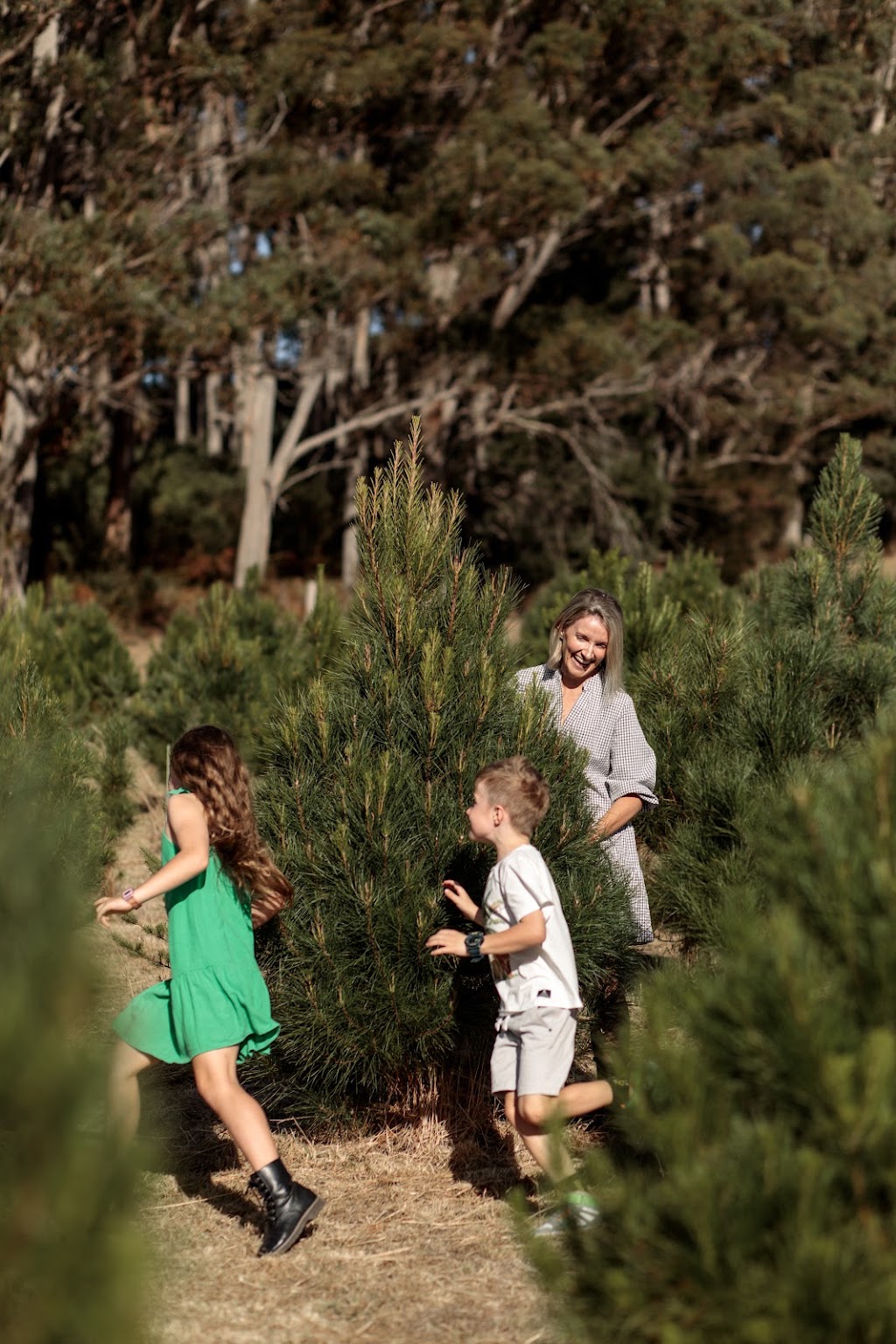 Lalla Valley Farm | 75 Brooks Rd, Lalla TAS 7267, Australia | Phone: 0497 887 462