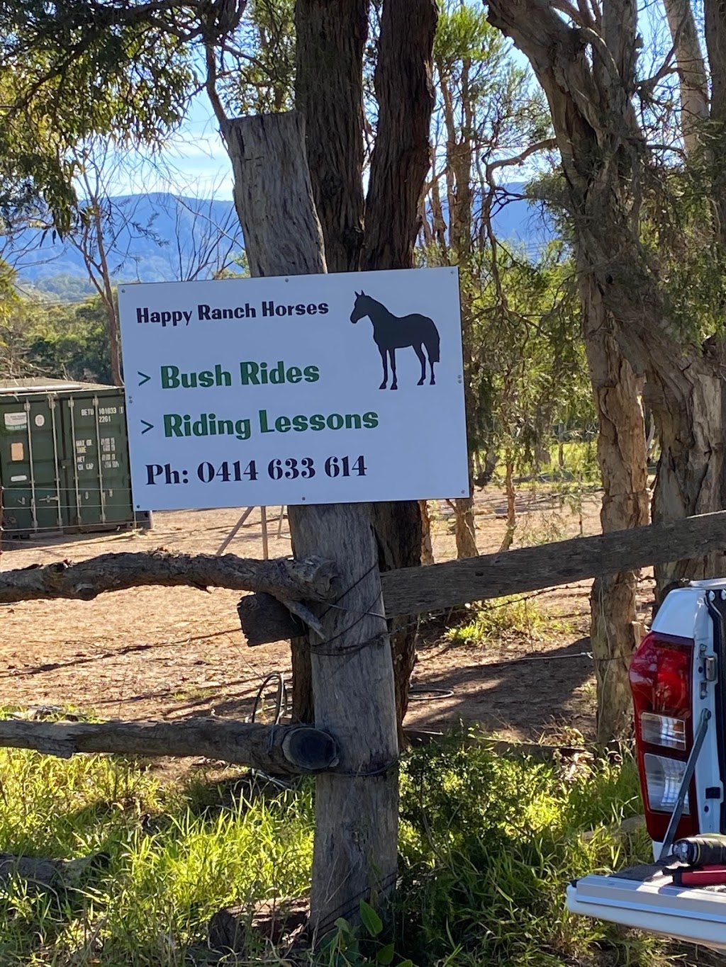 Happy Ranch Horses | 90 Yallah Rd, Yallah NSW 2530, Australia | Phone: 0414 633 614