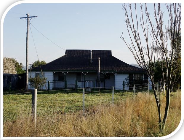 King Creek Limousins | 1034 Piallaway Rd, Currabubula NSW 2342, Australia | Phone: (02) 6768 9036