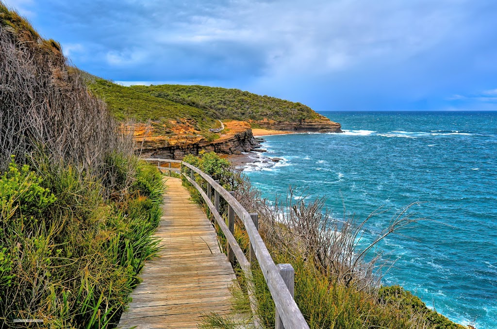 Understanding the Bubble | Wattle Tree Rd, Holgate NSW 2250, Australia | Phone: 0428 485 002