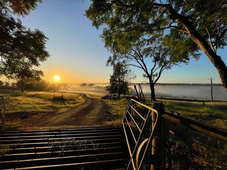 Heaven On The Hill | 104 Denman Rd, Mount Forbes QLD 4340, Australia | Phone: 0431 220 234