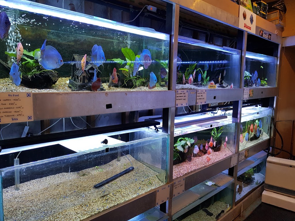Crystal Palace Aquarium Five Dock | pet store | 48-50 Ramsay Rd, Five Dock NSW 2046, Australia | 0297137571 OR +61 2 9713 7571