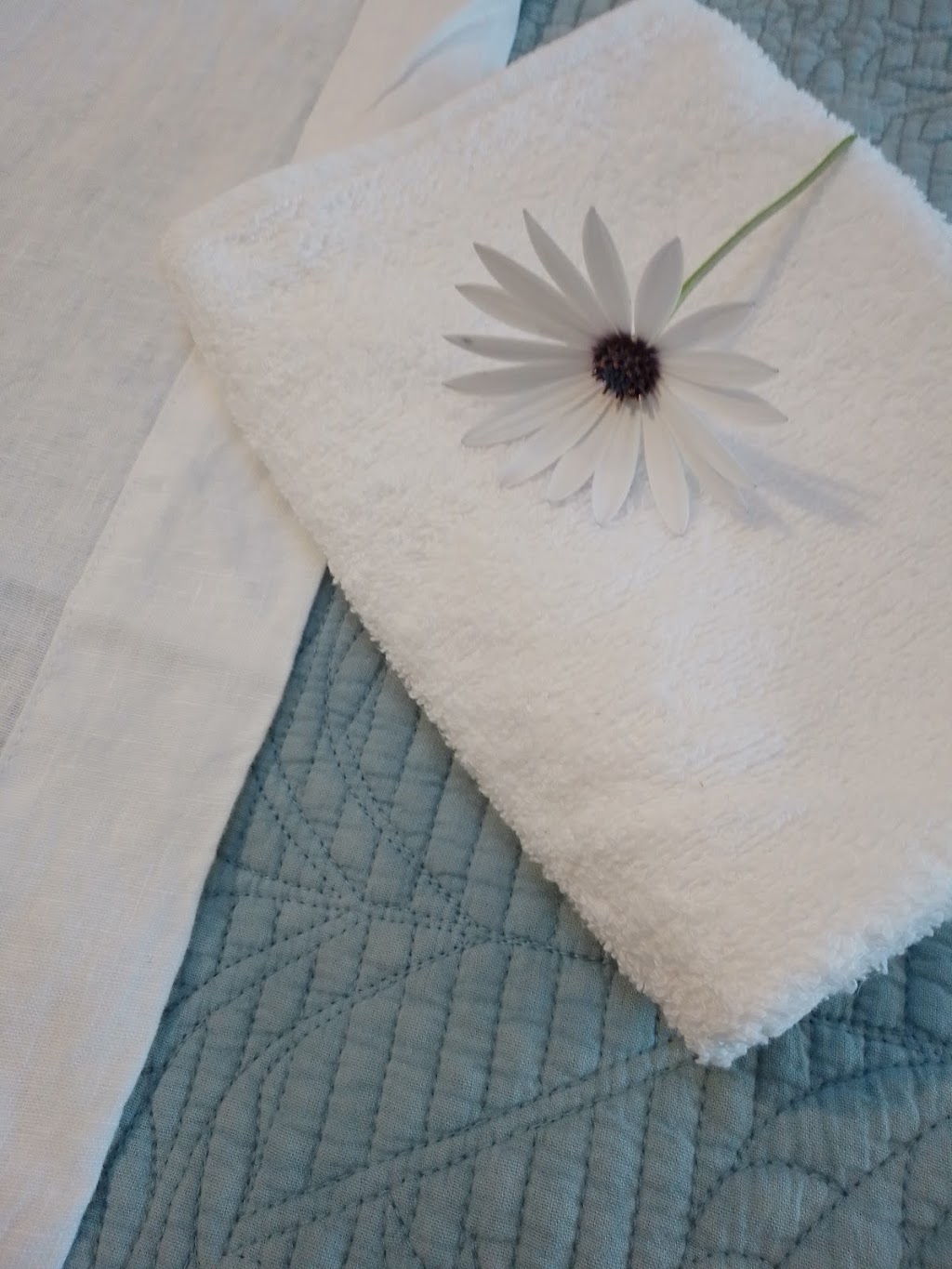 Berry Raw Body & Soul | 10 Marcus Creek Rd, Yackandandah VIC 3749, Australia | Phone: 0413 891 318