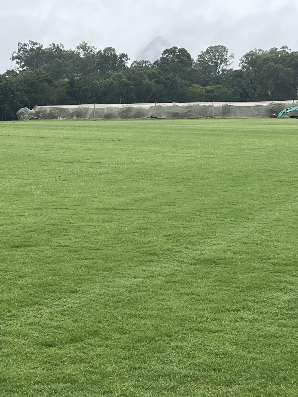 Paradise Turf | 80 Link Rd, Glass House Mountains QLD 4518, Australia | Phone: 0428 984 356