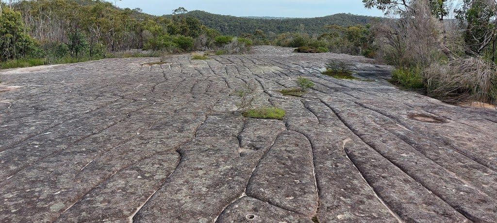 Aboriginal Site Conservation | Ku-Ring-Gai Chase NSW 2084, Australia