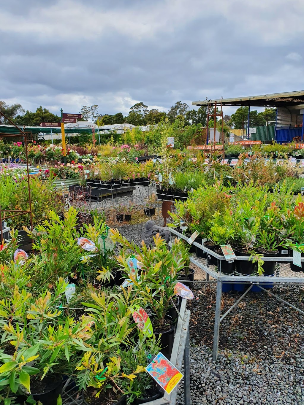 Allans Garden Centre | store | 285 Westbury Rd, Launceston TAS 7250, Australia | 0363446257 OR +61 3 6344 6257