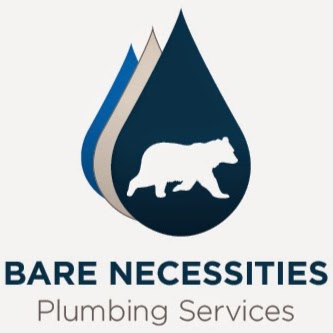 Bare Necessities Plumbing Services | 150 Hamilton Rd, Wavell Heights QLD 4012, Australia | Phone: 1300 422 566