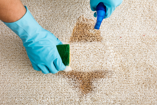 CY Carpet Cleaning Templestowe | laundry | 18 Tatterson Ct, Templestowe VIC 3106, Australia | 0281884581 OR +61 2 8188 4581