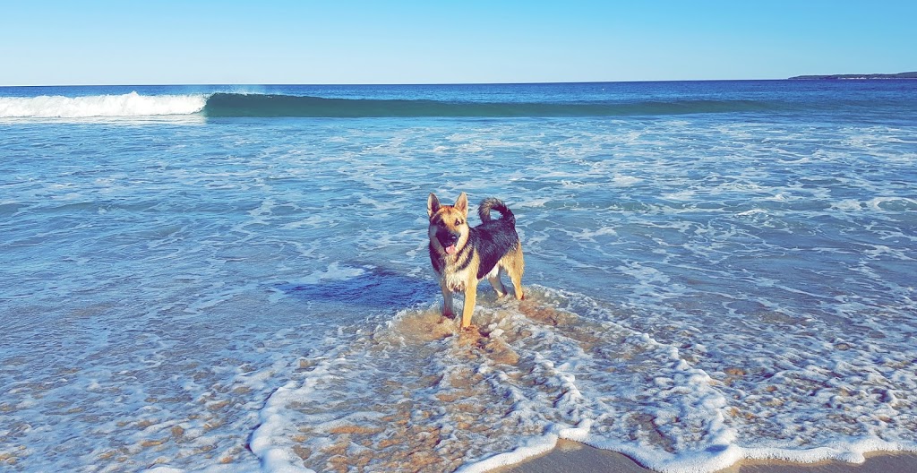Greenhills Beach Dog Off Lead | park | Greenhills St, Kurnell NSW 2231, Australia