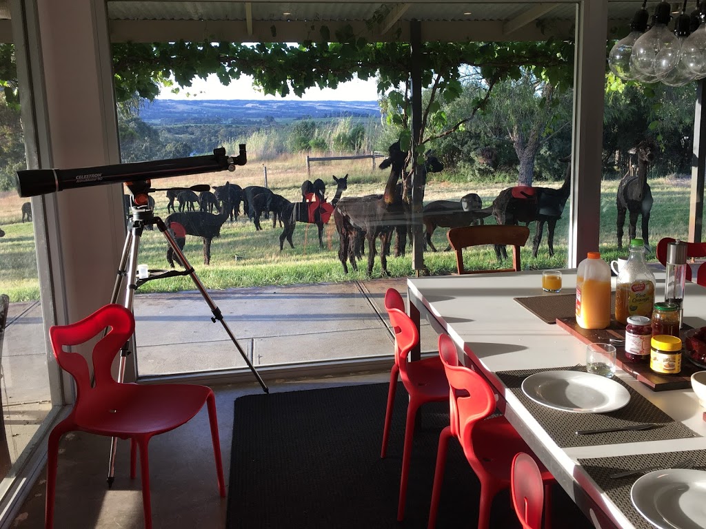 Haylilla Alpacas | Brunato Rd, Blewitt Springs SA 5171, Australia | Phone: 0419 597 998