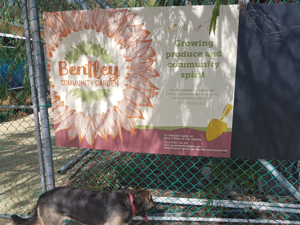 Bentley Community Gardens | park | 4 Nyamup Way, Bentley WA 6102, Australia