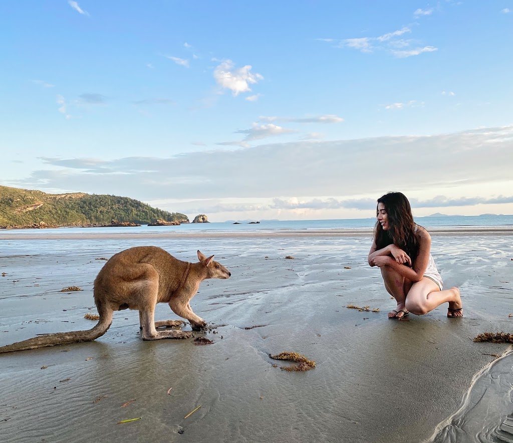 Sacred Voyage Tours | Seaview Dr, Airlie Beach QLD 4802, Australia | Phone: 0409 047 478