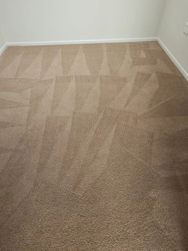 Protection plus+ Couch & carpet deep cleaning | 112 James St, Templestowe VIC 3106, Australia | Phone: (03) 7057 1892