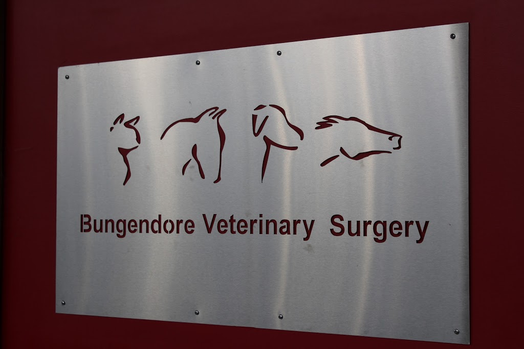 Bungendore Veterinary Surgery | veterinary care | 112B Molonglo St, Bungendore NSW 2621, Australia | 0262381133 OR +61 2 6238 1133