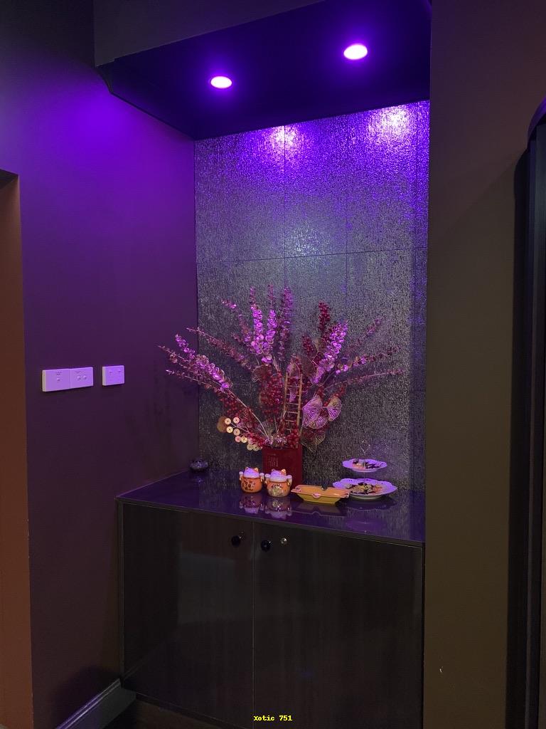 Xotic 751 | 751 New Canterbury Rd, Dulwich Hill NSW 2203, Australia | Phone: (02) 8577 9999