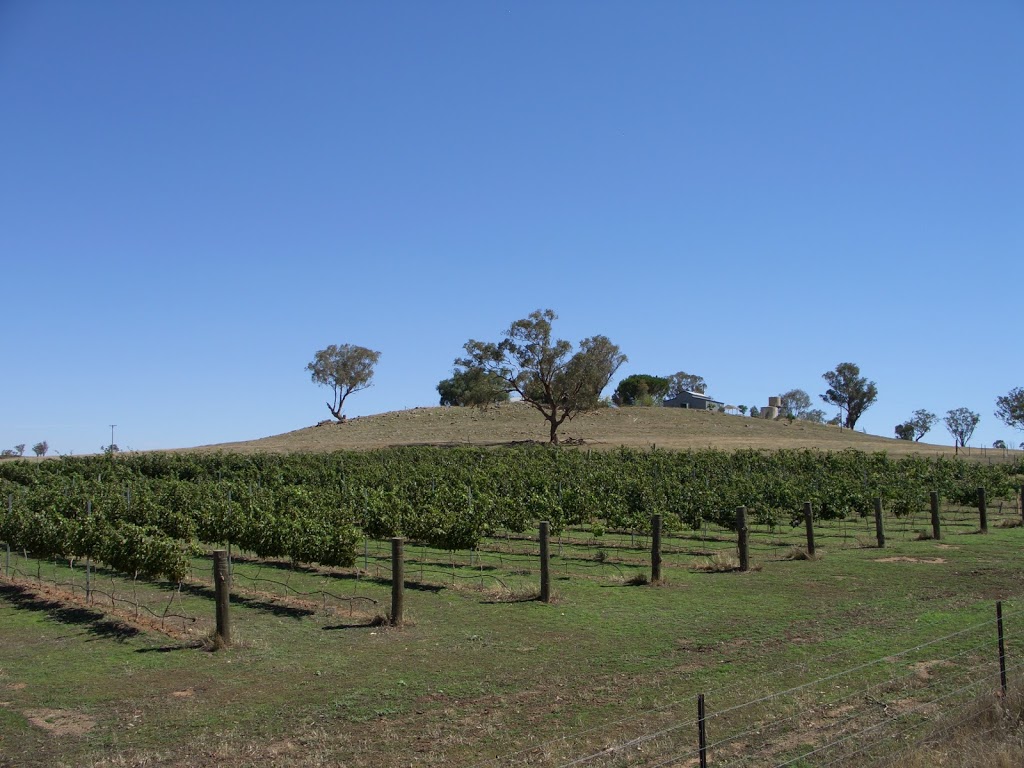 Trandari Wines |  | 26 Murringo Gap Rd, Murringo NSW 2586, Australia | 0263839262 OR +61 2 6383 9262