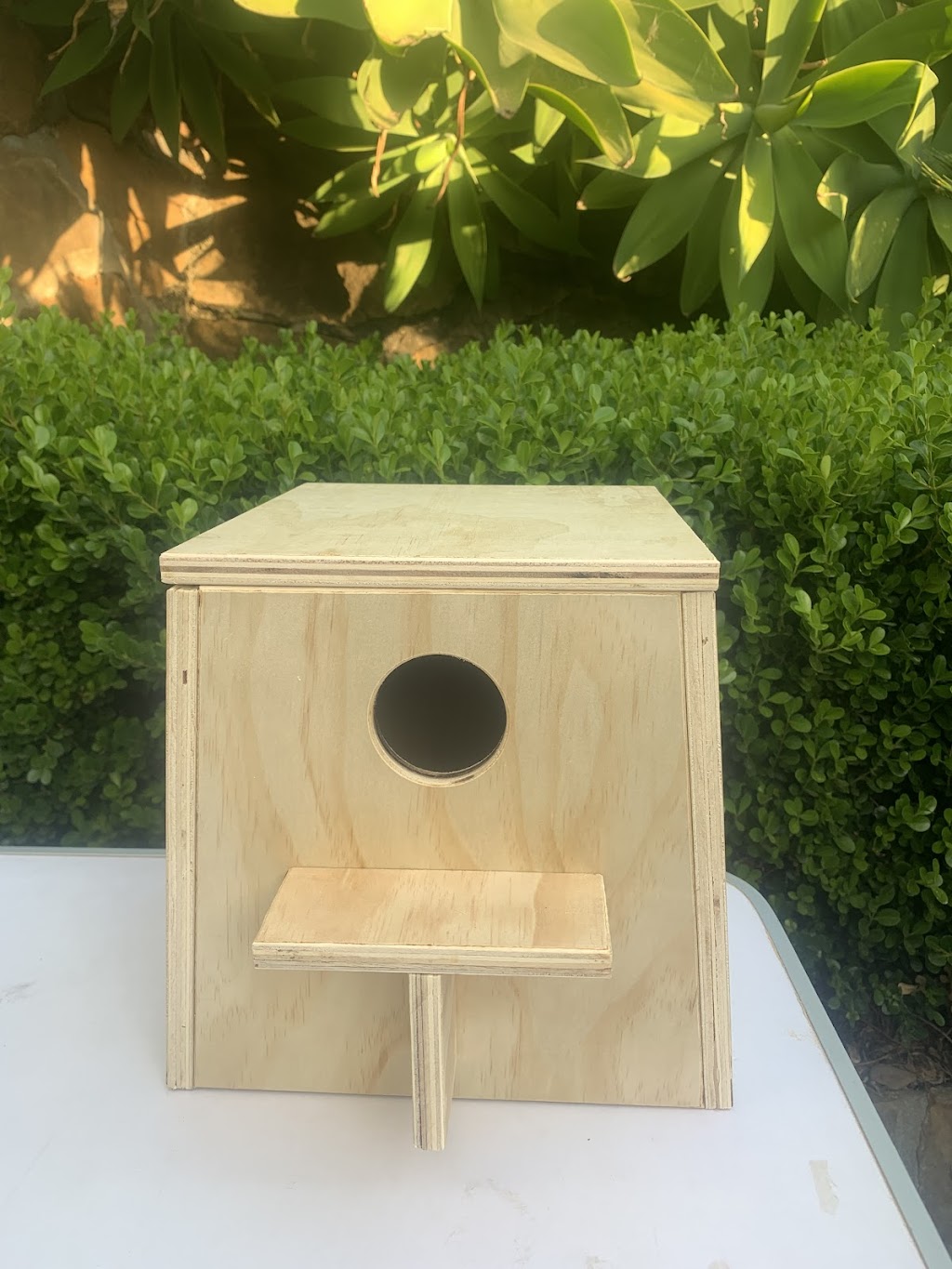 MrBirdBox | pet store | 21 Jocarm Ave, Condell Park NSW 2200, Australia | 0420488962 OR +61 420 488 962