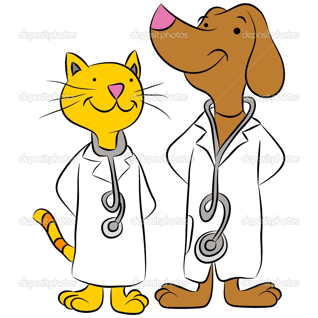 Bracken Ridge Veterinary Surgery | veterinary care | 7/162 Barrett St, Bracken Ridge QLD 4017, Australia | 0732693878 OR +61 7 3269 3878