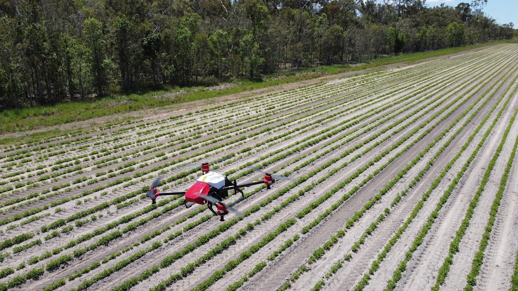 Drone Dispatch |  | 446 Snake Creek Rd, Bungadoo QLD 4671, Australia | 0417764091 OR +61 417 764 091