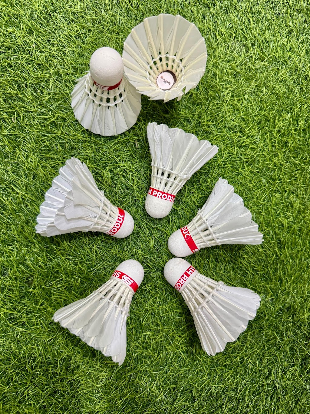 Northside Badminton Centre | 14 Kenworth Pl, Brendale QLD 4500, Australia | Phone: 0416 437 676