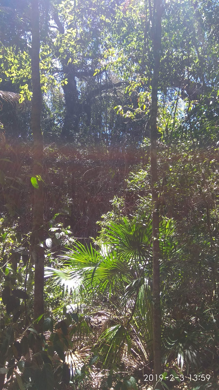 Sea Acres National Park | Port Macquarie NSW 2444, Australia