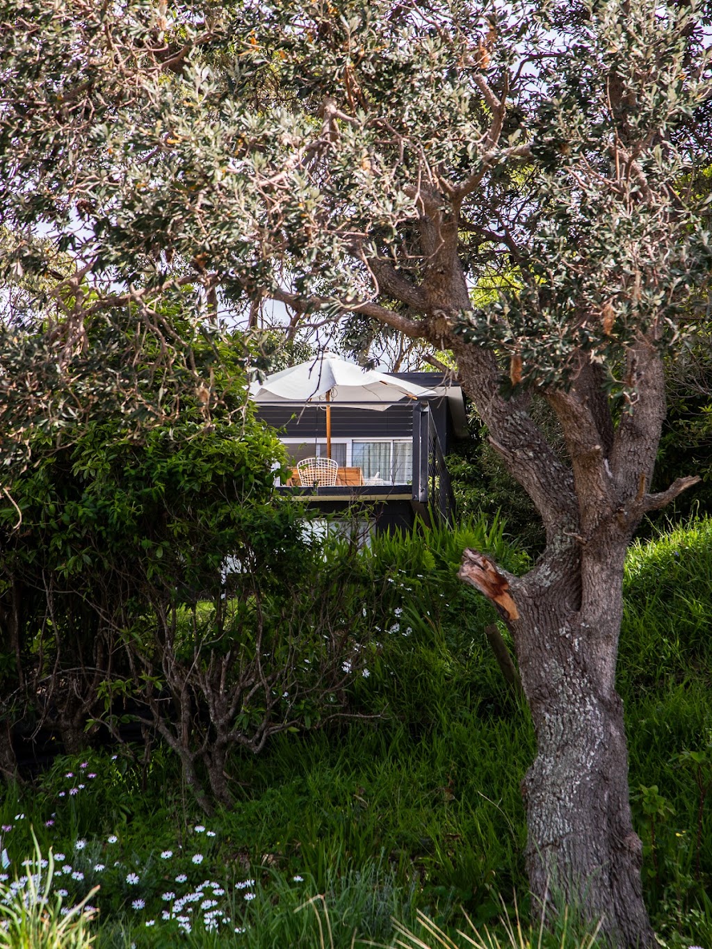 Shelter Malua | 74 Iluka Ave, Malua Bay NSW 2536, Australia | Phone: 0414 133 323