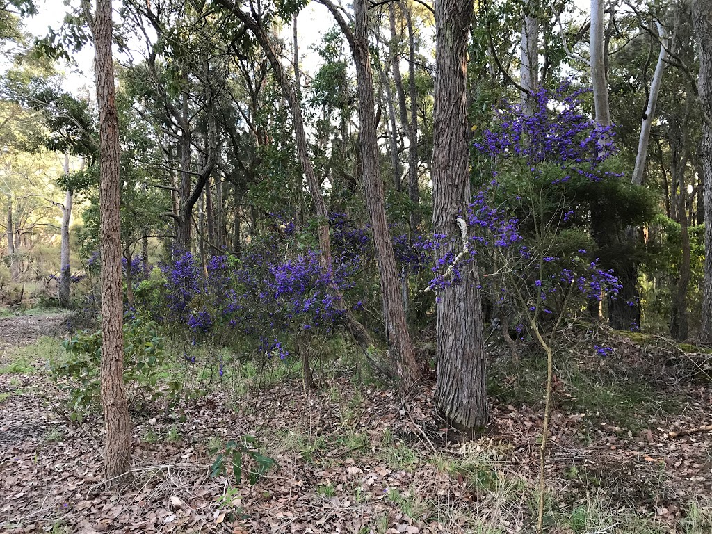 Springwood Homestead formerly Craythorne Country House | 180 Worgan Rd, Metricup WA 6280, Australia | Phone: 0411 559 919