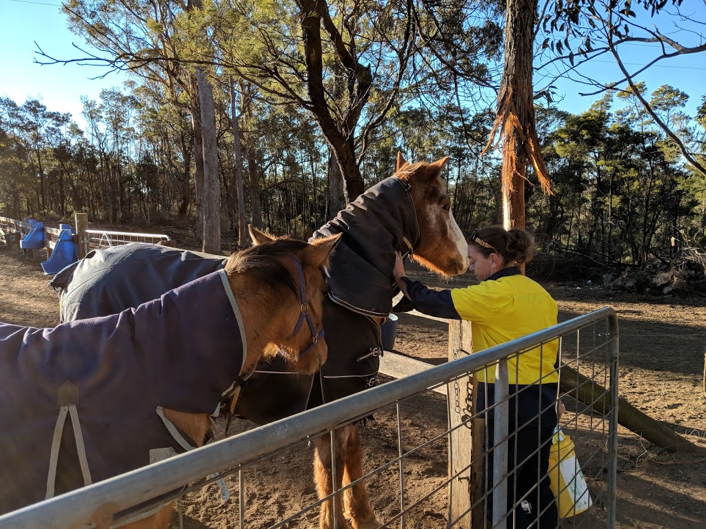 Highland Farm Stays | Tugalong Rd, Bangadilly NSW 2577, Australia | Phone: 0425 208 783