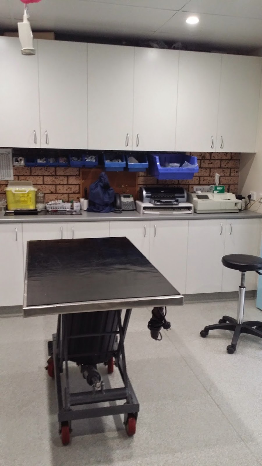 Woolgoolga Vet Clinic | veterinary care | 4/4 Market St, Woolgoolga NSW 2456, Australia | 0266547754 OR +61 2 6654 7754