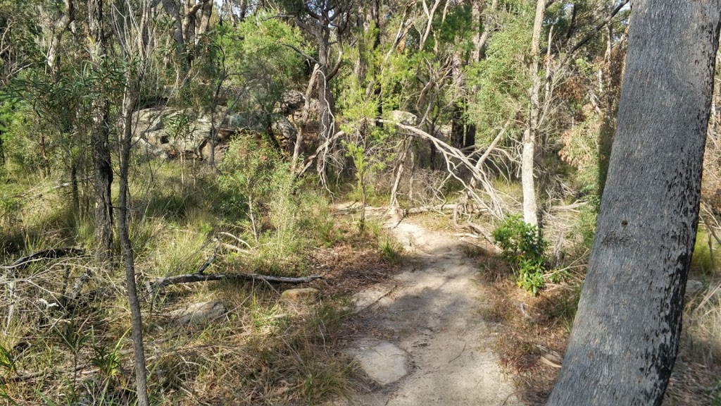 Richard Webb Reserve | park | West Pennant Hills NSW 2125, Australia | 0298430555 OR +61 2 9843 0555