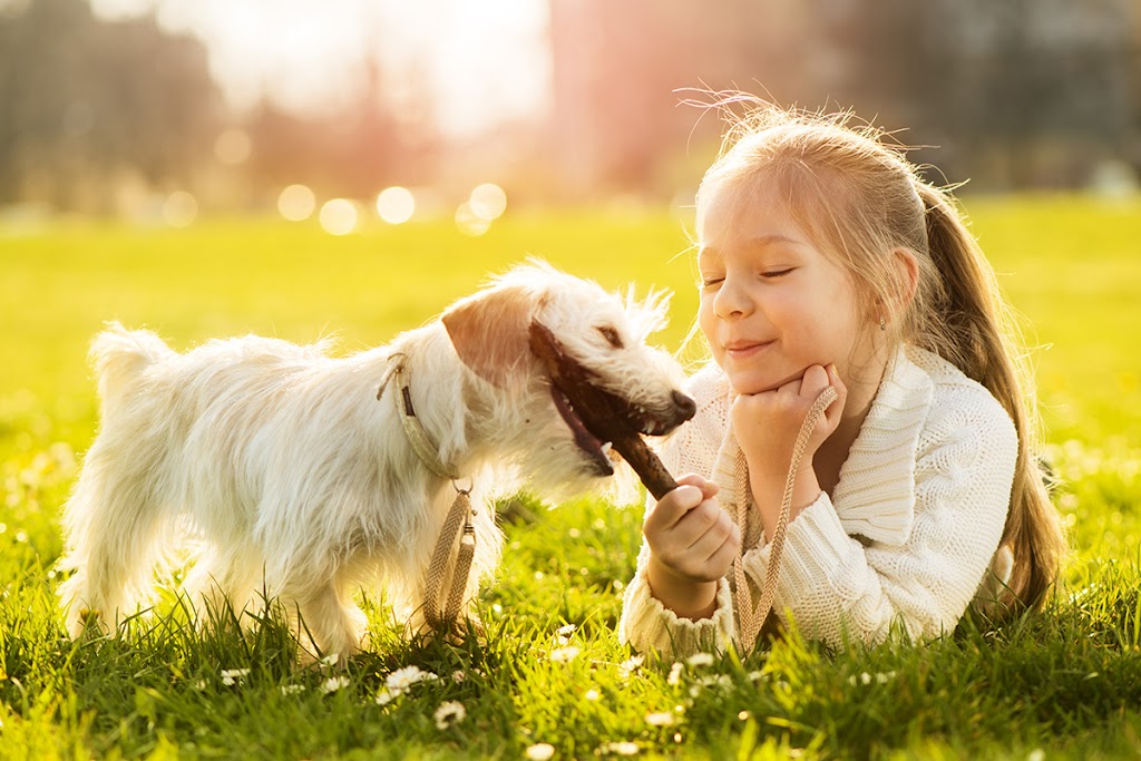 Max Force Pest Control | 36 Thoroughbred Dr, Cobbitty NSW 2570, Australia | Phone: 0452 651 431