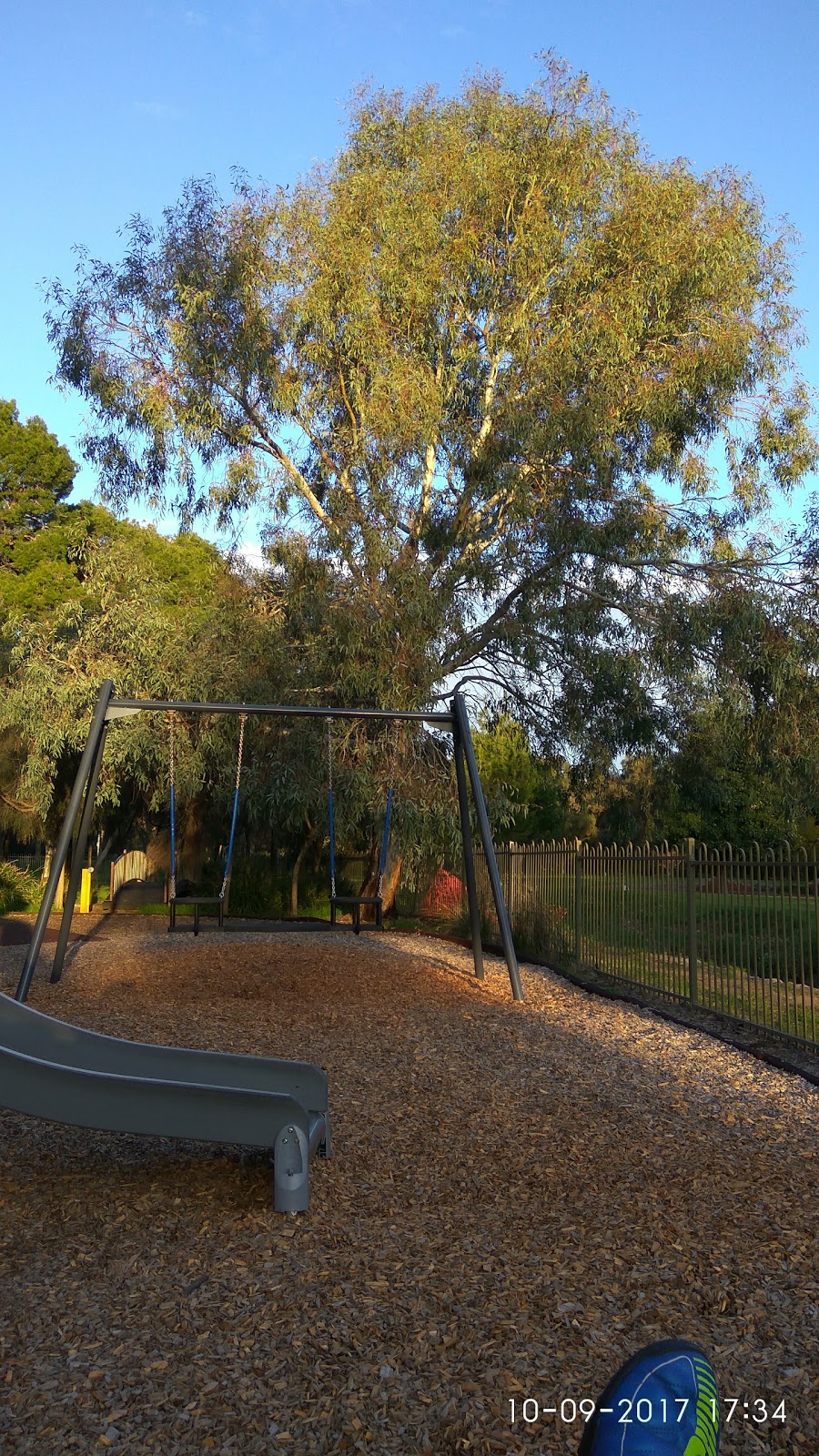 Pityarilla | park | Greenhill Rd, Adelaide SA 5000, Australia | 0882037203 OR +61 8 8203 7203