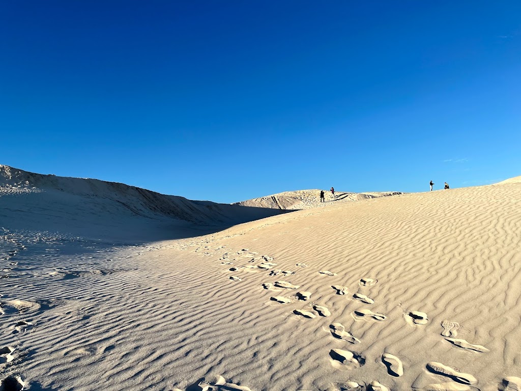 Lancelin ATV, Buggy, Motocross Tours | Sand Dunes, Beacon Rd, Lancelin WA 6044, Australia | Phone: 0411 839 998