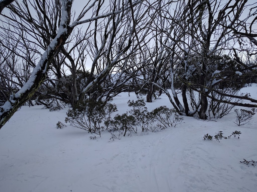 Bogong Rover Chalet | lodging | Nelse VIC 3699, Australia | 0407242538 OR +61 407 242 538