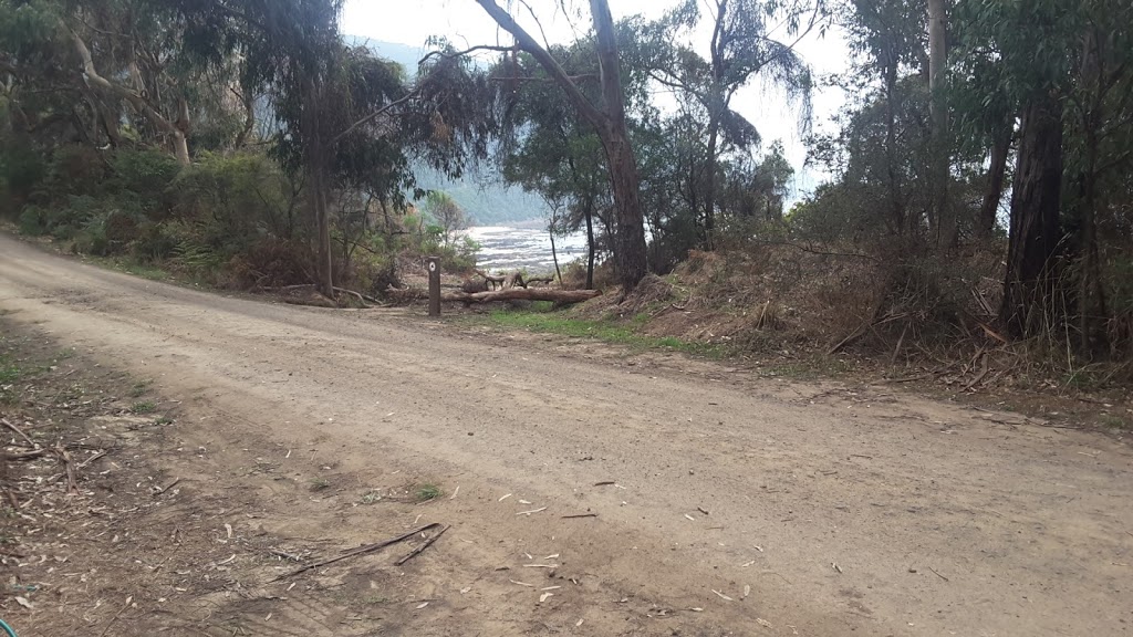 Jamieson Creek Bush Campground | Separation Creek VIC 3234, Australia