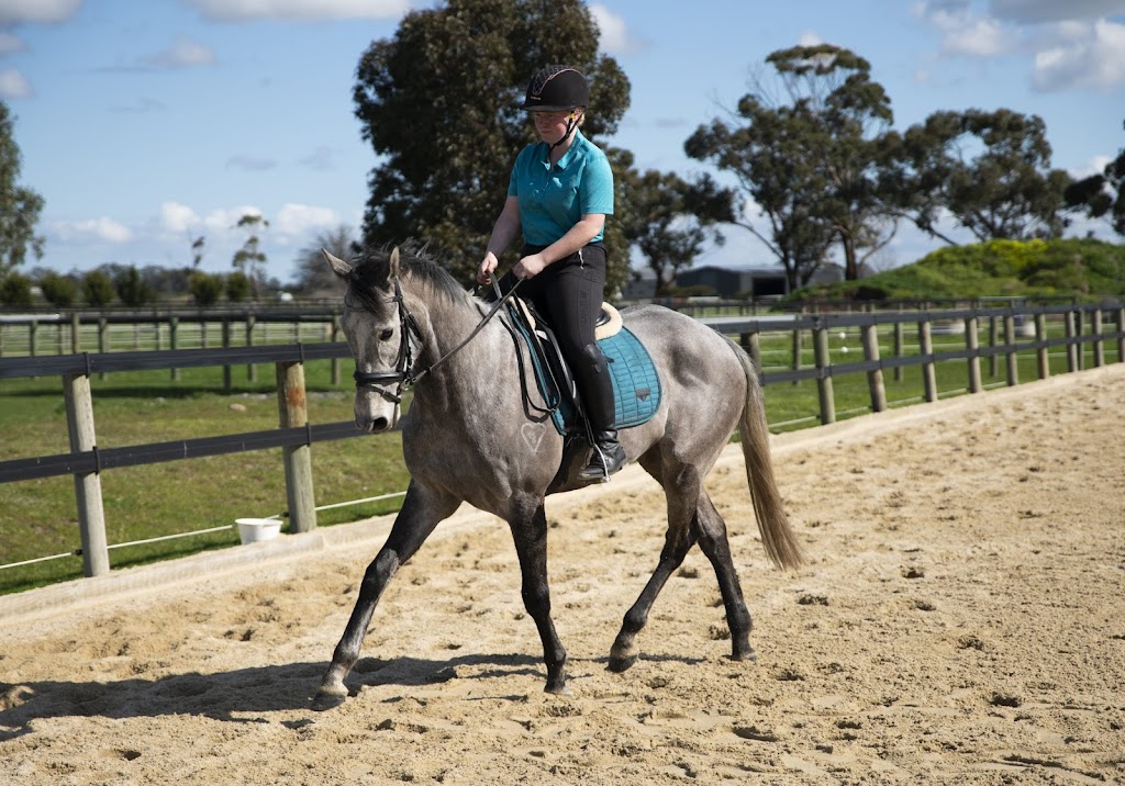 Filipa Equine | 190A Abeckett Rd, Bunyip VIC 3815, Australia | Phone: 0422 855 126